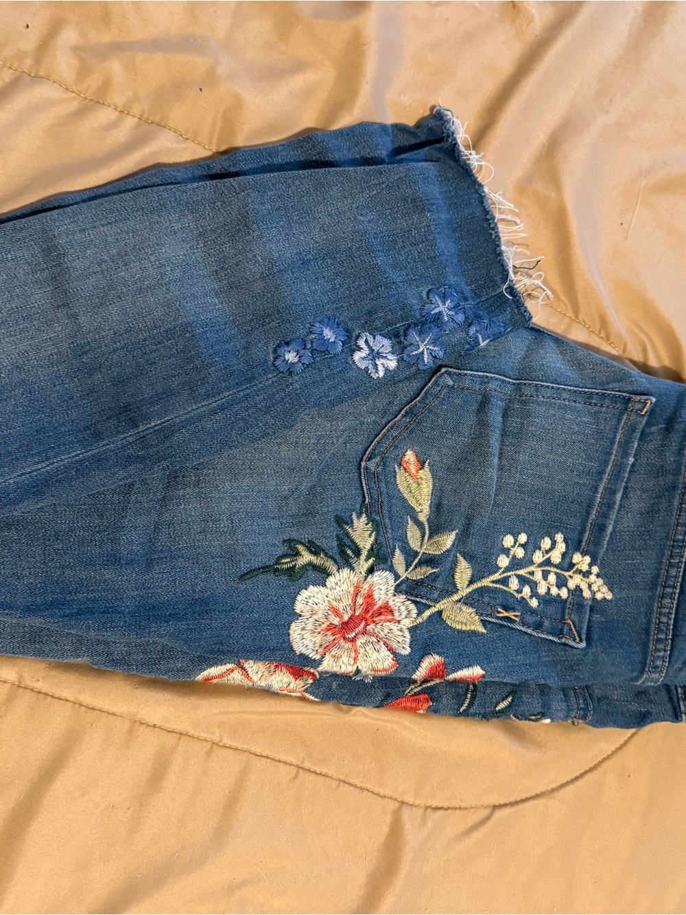 Express Blue Embroidered Skinny Jeans with Floral Detail